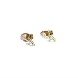 Aretes Ari